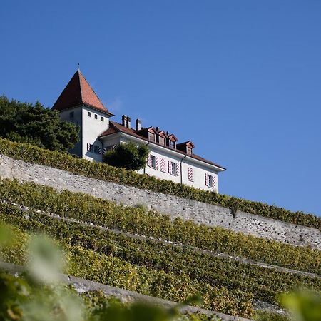 فندق Domaine Du Burignon Saint-Saphorin المظهر الخارجي الصورة