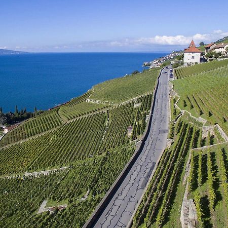 فندق Domaine Du Burignon Saint-Saphorin المظهر الخارجي الصورة