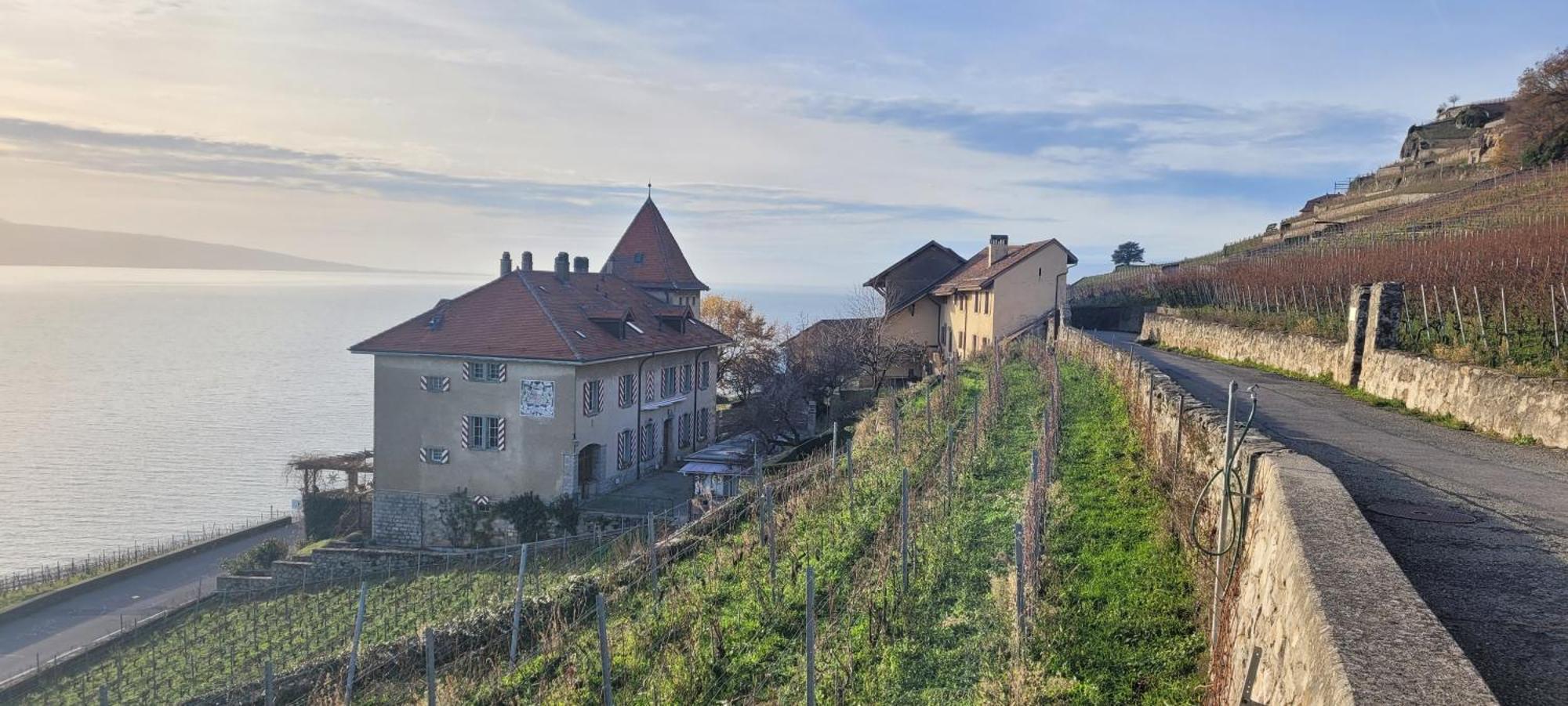فندق Domaine Du Burignon Saint-Saphorin المظهر الخارجي الصورة