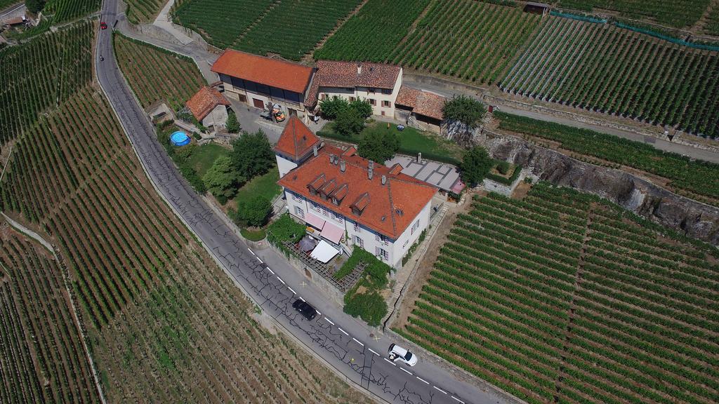 فندق Domaine Du Burignon Saint-Saphorin المظهر الخارجي الصورة