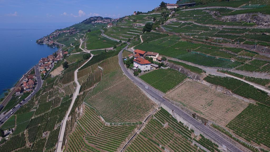 فندق Domaine Du Burignon Saint-Saphorin المظهر الخارجي الصورة