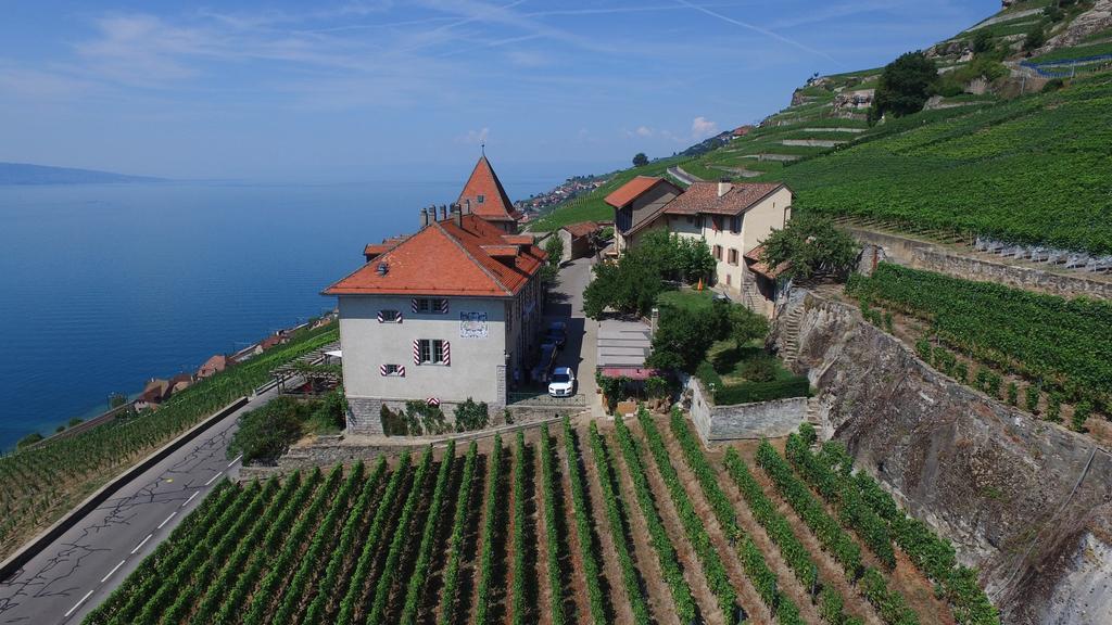 فندق Domaine Du Burignon Saint-Saphorin المظهر الخارجي الصورة
