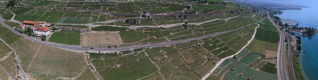 فندق Domaine Du Burignon Saint-Saphorin المظهر الخارجي الصورة