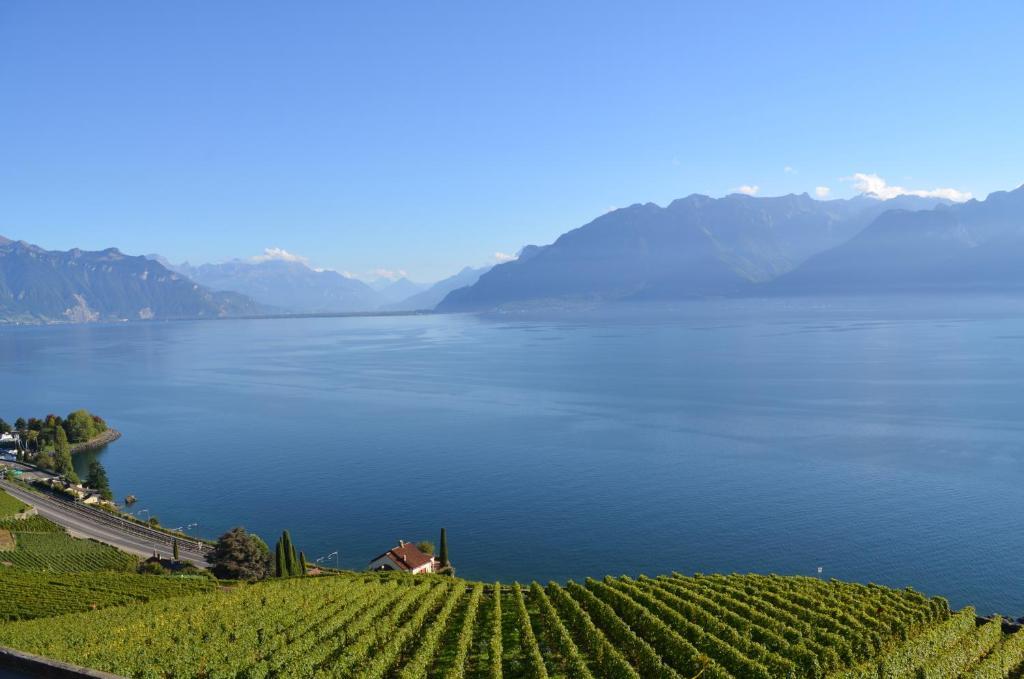 فندق Domaine Du Burignon Saint-Saphorin الغرفة الصورة