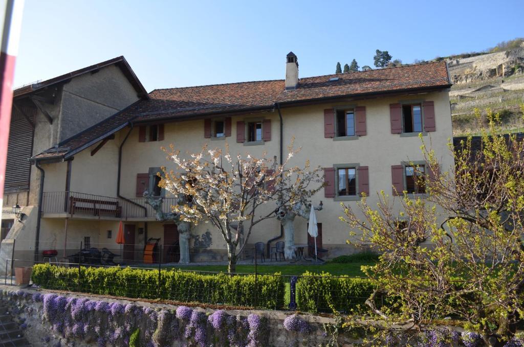 فندق Domaine Du Burignon Saint-Saphorin المظهر الخارجي الصورة
