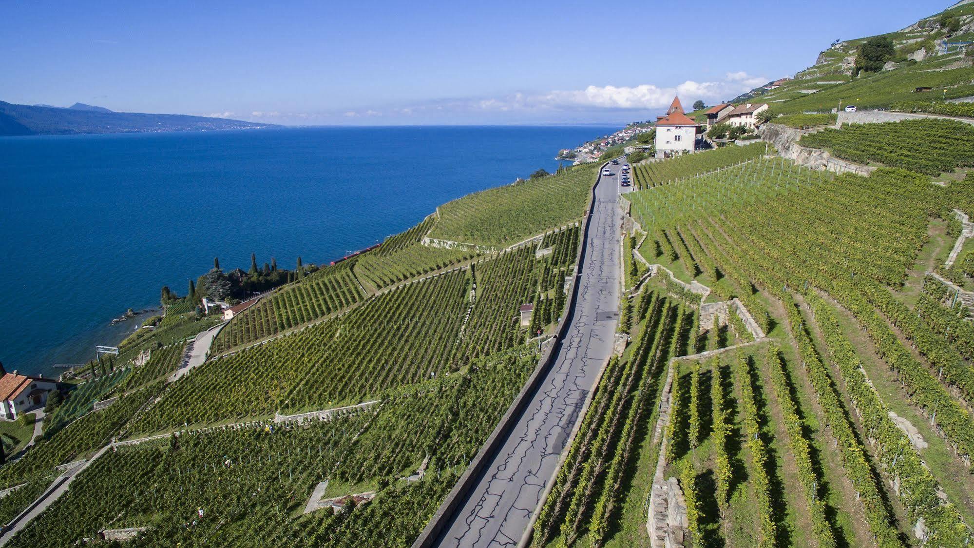فندق Domaine Du Burignon Saint-Saphorin المظهر الخارجي الصورة